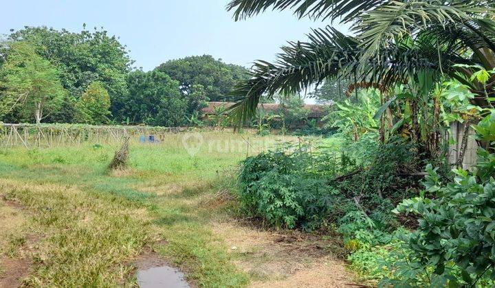 Tanah kebun sudah rata, dekat kawasan BRIN muncul serpong, cocok sekali untuk investasi 2