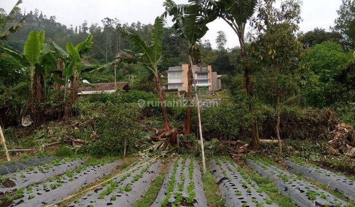 Tanah Kavling Luas 60m2 SHM di Lembang Bandung 1