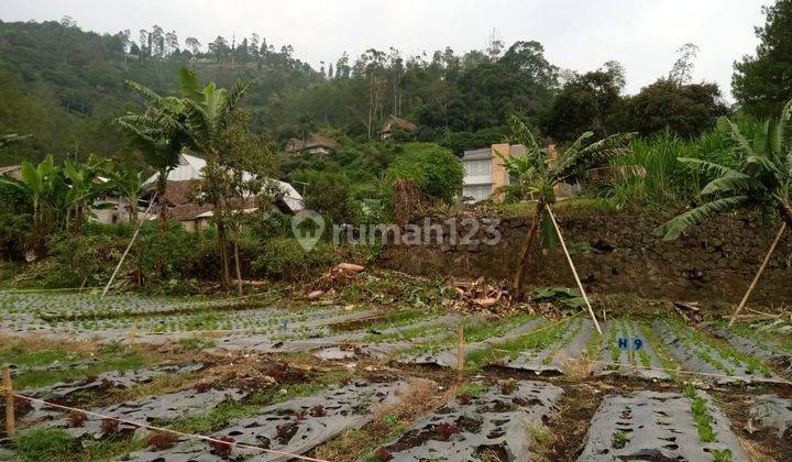 Tanah Kavling Luas 60m2 SHM di Lembang Bandung 2