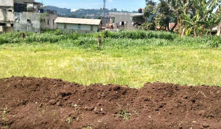 Tanah Kavling 60M2 Dalam Komplek di Lembang