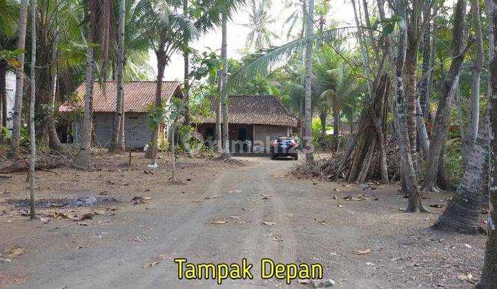 Dijual Tanah Pekarangan Murah di Panjatan, Kulon Progo 1