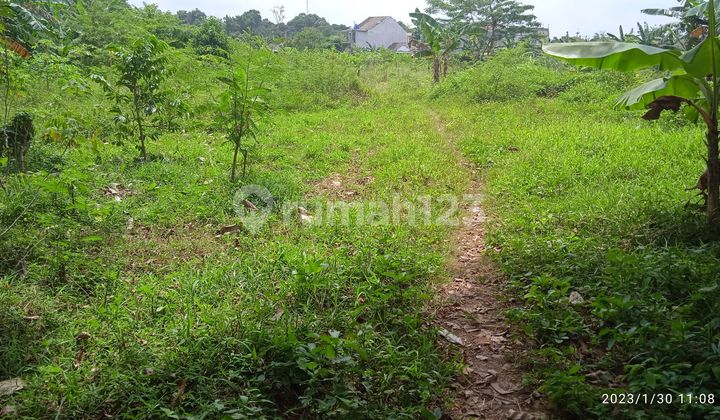 Dijual Murah Kavling Komersial Strategis Pinggir Jalan Curug Tangerang Dijual Murah Kavling Komersial Strategis Pinggir Jalan Curug Tangerang