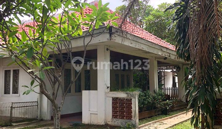 Dijual Rumah Tua Hitung Tanah di Gaharu Cipete