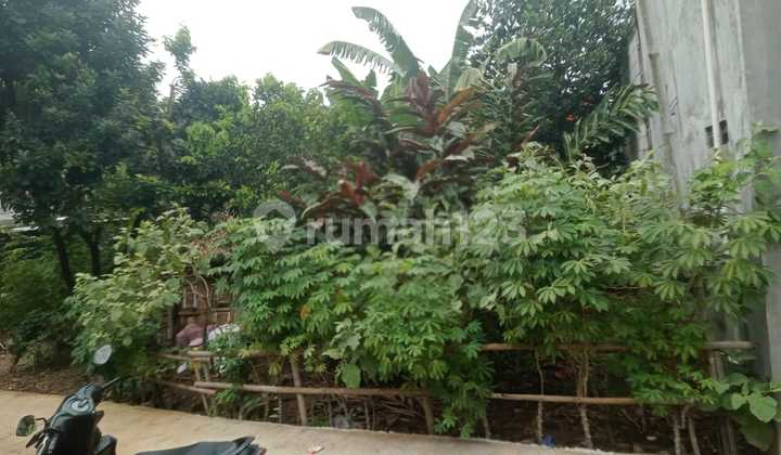 Affordable Single-Story Plot House with Customizable Building Affordable Single-Story Plot House with Customizable Building