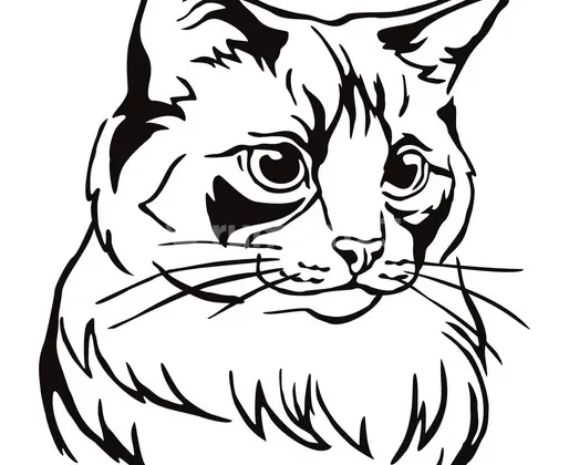 Dijual Rumah Murah Kawasan Menteng Aesthetic 2