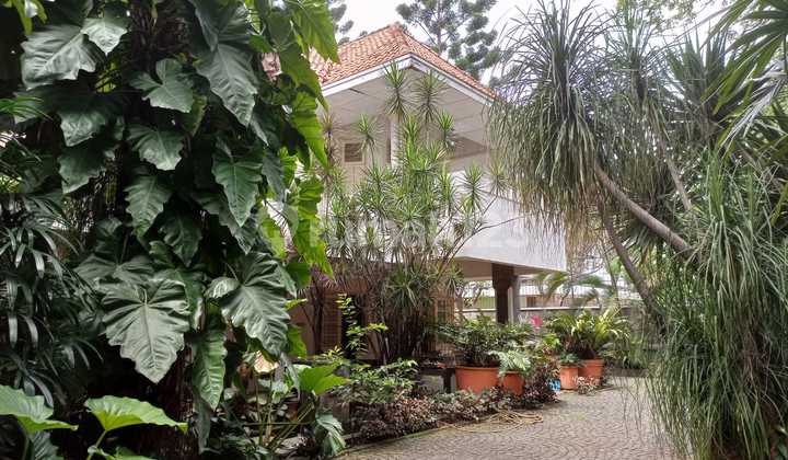 Dijual Rumah Bangunan Lama Hitungan Tanah  2