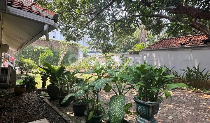 Rumah Vintage Sudah SHM di Menteng Suasana Asri