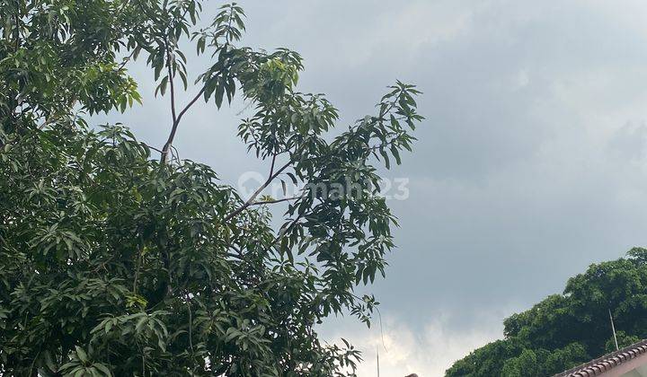 Rumah Hunian, Tenang Asri Dan Nyaman di Kemang 1