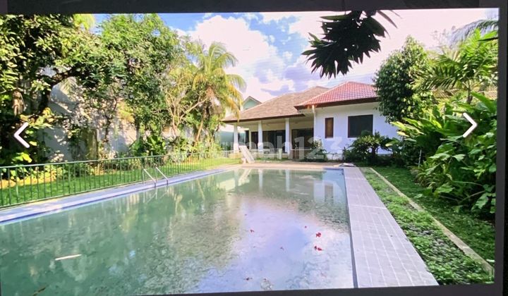 House for Rent, in South Kemang