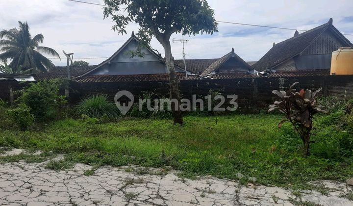Dijual Murah Tanah Luas 203 M2 Di Pagerwojo Tulungagung
