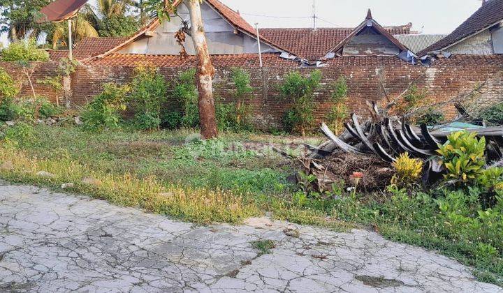 Dijual tanah subur Bisa Ditanami Semua hasil  bumi, gajk jauh dari jalan Raya Di pagerwojo Tulungagung Jawa Timur 2