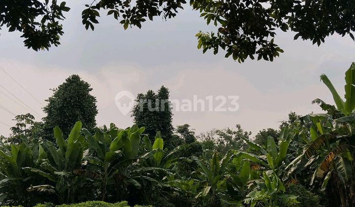Land for Sale Quickly Below Market Price in Harjamukti, Cimanggis.