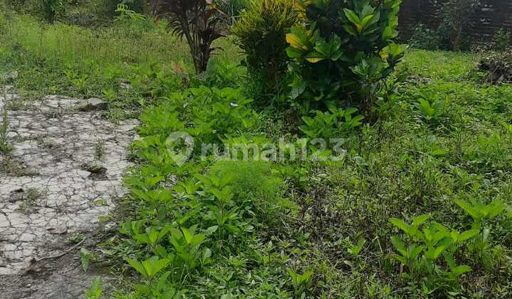 Dijual Murah Tanah Luas 203 M2 Di Pagerwojo Tulungagung Dijual Murah Tanah Luas 203 M2 Di Pagerwojo Tulungagung