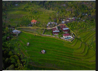 Joglo Tourist Lodge in Panji Hill with rural views and sunset 2