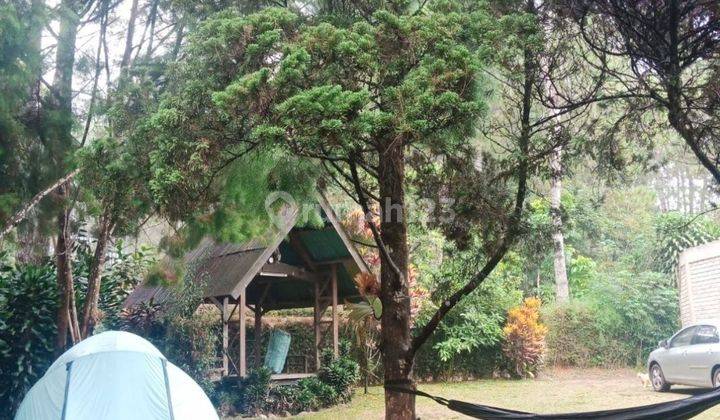 Rumah 2 Lantai Shm Bagus Villa Ada Gazebo 2