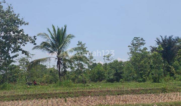 Tanah SHM Kabupaten Cianjur pinggir jalan 2