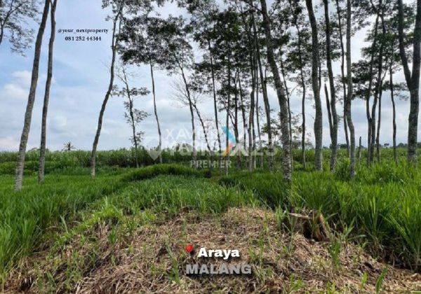 Lahan Luas Lokasi Premium Di Balik Jalan Poros Araya Peak Malang 1