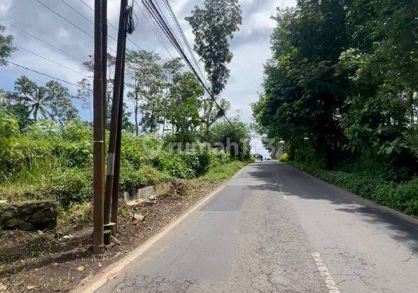 Lahan Luas di Jalan Raya Tlogowaru Kedungkandang Malang Dn1629  2