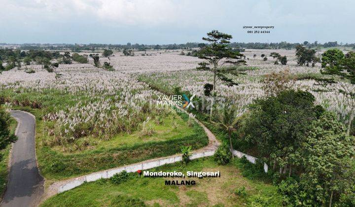 Tanah Kavling Super Luas Di Mondoroko, Singosari Malang(DN1904) 1