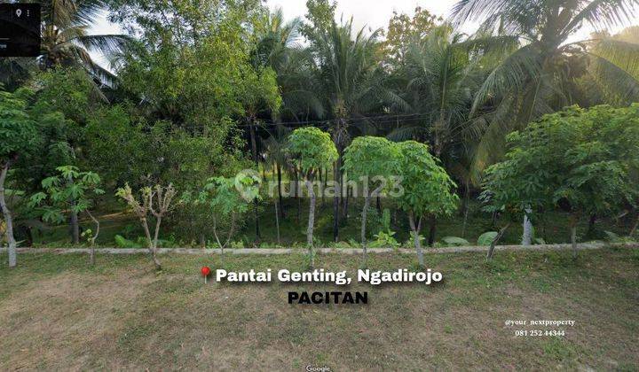 Tanah Lahan Di Pantai Genting Ngadirojo Kabupaten Pacitan Dn1646  1