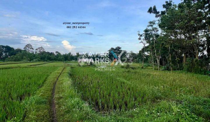 Lahan Strategis Di Jalan Raya Sentul Purwodadi Pasuruan Malang 28 1