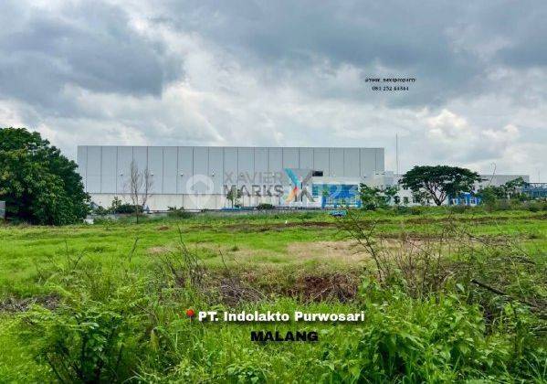 Lahan Luas Di Belakang Lokasi Pabrik Indolakto Purwosari Pasuruan 1