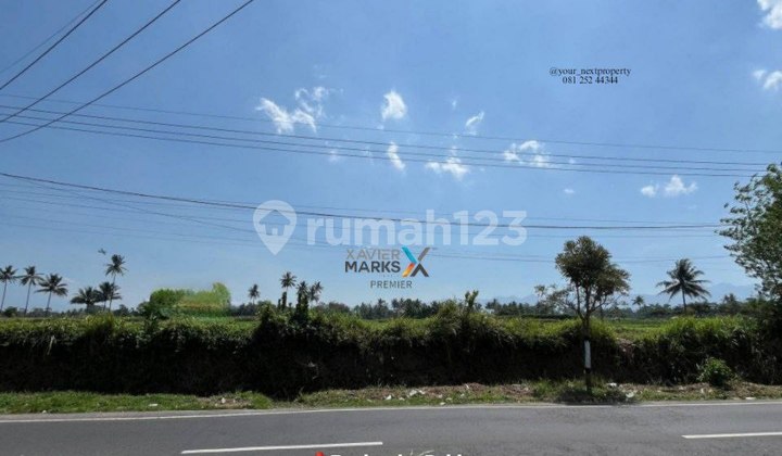 Agricultural Land on Asphalt Road Axis in Banjarejo, Pakis, Malang Agricultural Land on Asphalt Road Axis in Banjarejo, Pakis, Malang