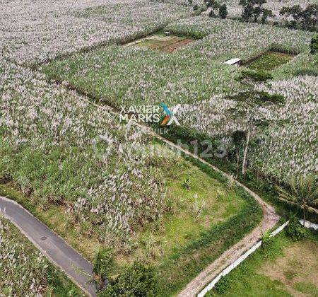 Tanah Kavling Super Luas Di Mondoroko, Singosari Malang(DN1904) 2