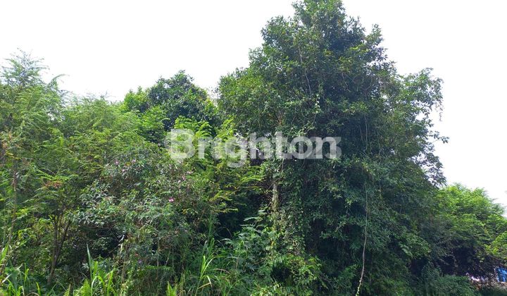 TANAH HOOK MURAH COCOK BUAT GUDANG TALANG KERAMAT SUMATERA SELATAN