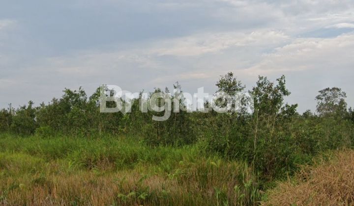 Tanah SHM Sematang Borang