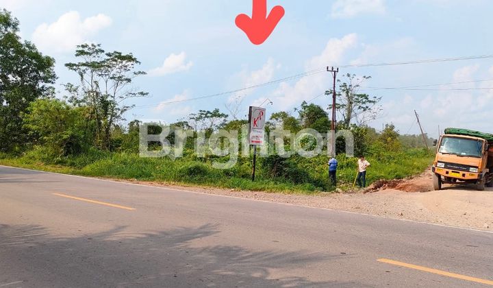 Tanah Industri Tanjung api api  2