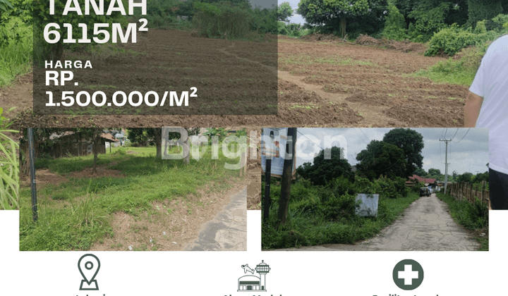 Tanah keras di Noerdin Panji 