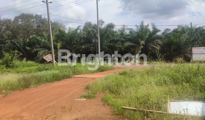 Hard soil  Roadside in Banyuasin