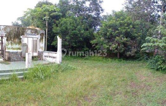 Dijual Tanah Luas 1.260 m2 dekat Polsek Borobudur. ( Cocok Buat Investasi ) 2