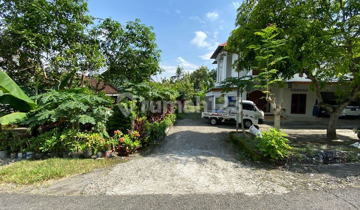 Jarang Dilirik, Padahal Menguntungkan! Lahan Strategis di Bantul