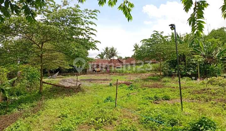 Rumah Murah bisa KPR DP Minim 3 KM Dari Jalan Magelang Rumah Murah bisa KPR DP Minim 3 KM Dari Jalan Magelang
