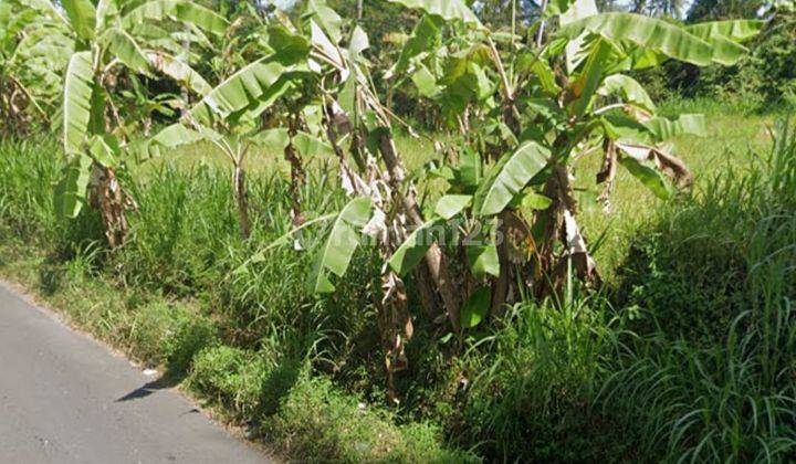 Hot List of Roadside Land for Sale, Jalan Permata Pering Blahbatuh Gianyar 2