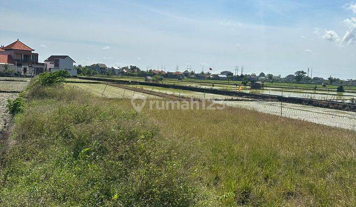 Hot List Di Jual Tanah View Sawah Lokasi Sanur Denpasar Selatan 2