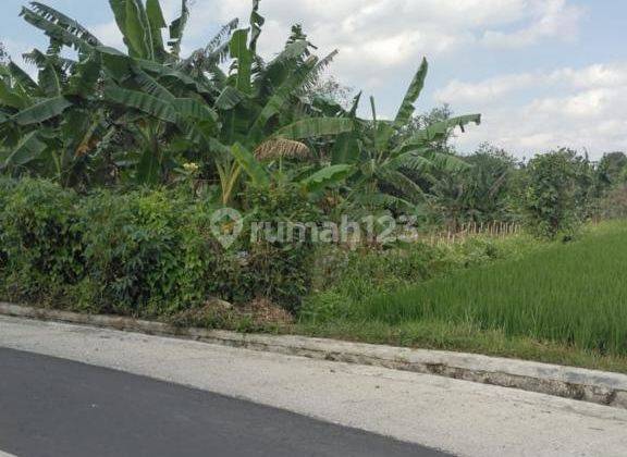 Hot List of Land for Sale in Kediri, Tabanan 1