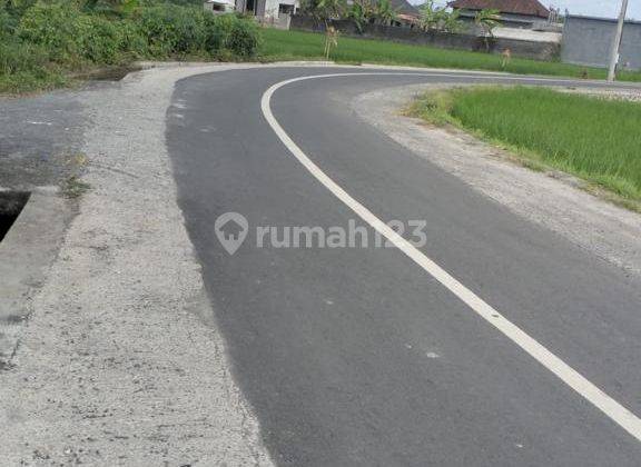 Hot List of Land for Sale in Kediri, Tabanan 2