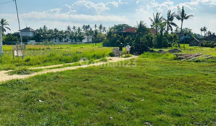 Hot List Di Jual Tanah Lokasi Tengkulak Kemenuh Ubud 1