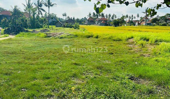 Hot List Di Jual Tanah Lokasi Tengkulak Kemenuh Ubud 2