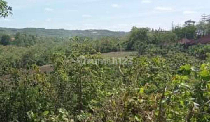 Hot List Di Jual Tanah Lokasi Jimbaran Kuta Selatan Badung 1