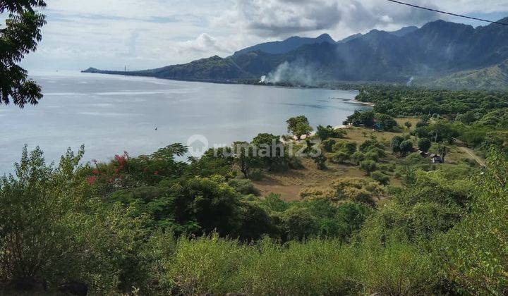 Hot List Di Jual Tanah View Laut Lokasi Pemuteran Seririt Gilimanuk Buleleng 2