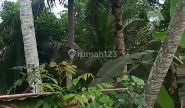 Hot List Di Jual Tanah Lokasi Pejeng Ubud Gianyar  2