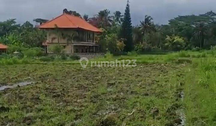 Hot List Di Jual Tanah Lokasi Pejeng Ubud Gianyar  1