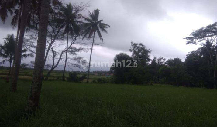 Hot List Land for sale in Lodtunduh Ubud Gianyar  2