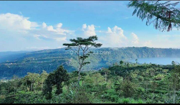 Hot List Di Jual Tanah View Hutan Laut Lokasi Munduk Bedugul Buleleng  1