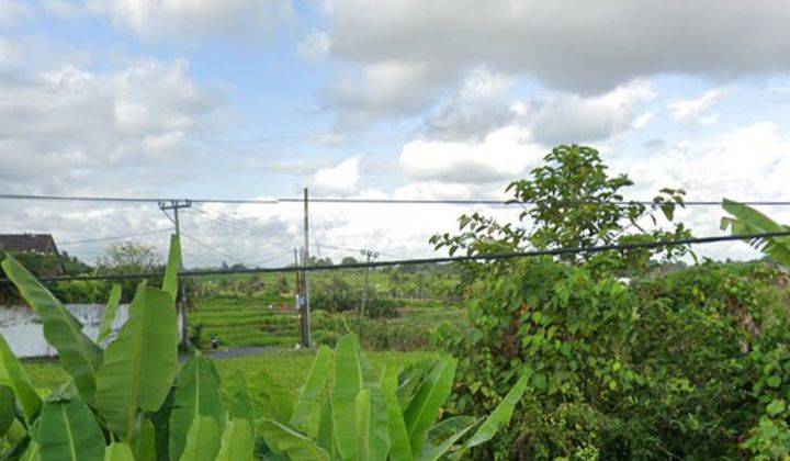 Hot List For Sale Roadside Land Location Kaba Kaba Kediri Tabanan 1