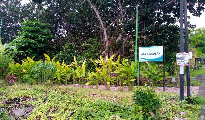 Hot List Land for sale on the side of the road in Uluwatu, South Kuta Badung  1